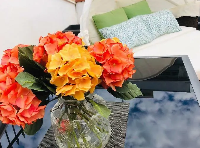 Baricityhouse * בארי